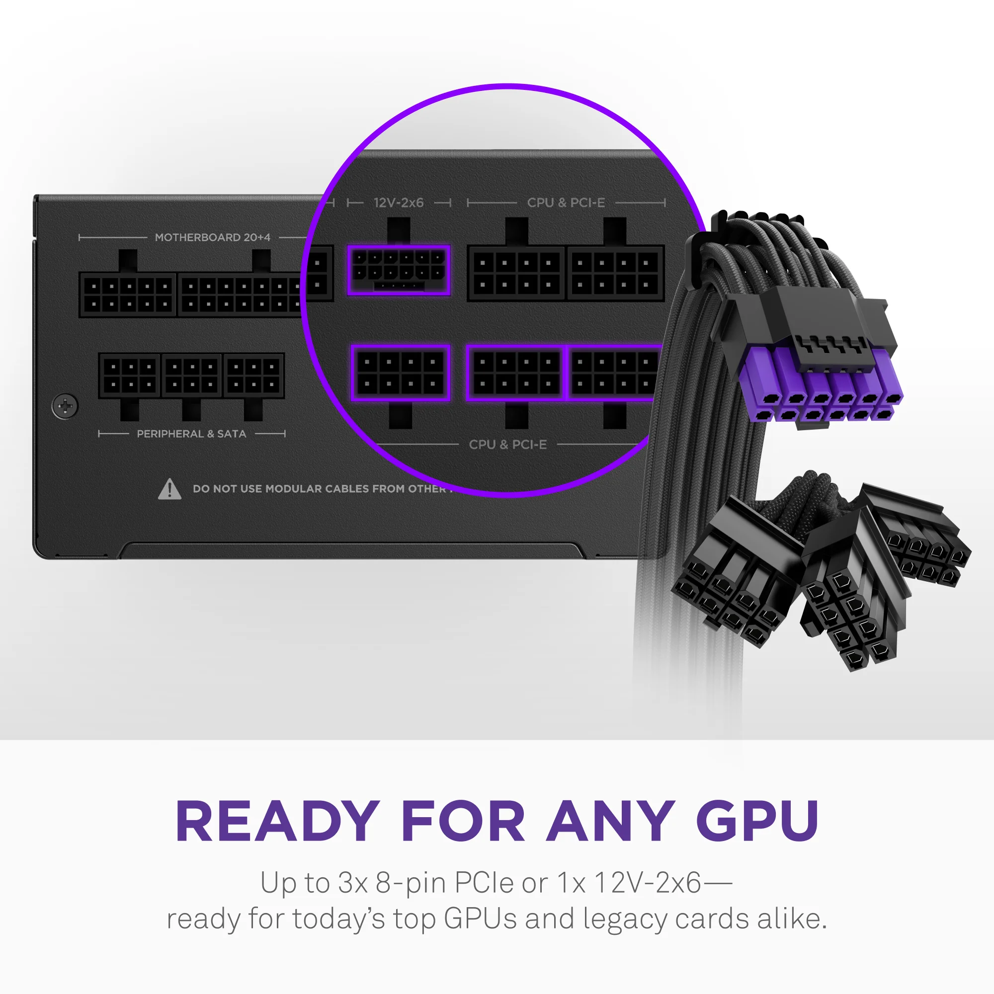 C1000 Gold Core - Image 5